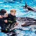 Lietuvos jūrų muziejaus delfinai laukia žmonių: po ketverių metų pertraukos kviečia registruotis terapijai