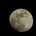 Seniau Mėnulis turėjo magnetinį lauką, o dabar – ne: toks scenarijus laukia ir Žemės