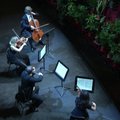 Barselonos operos teatras surengė netradicinį koncertą augalams
