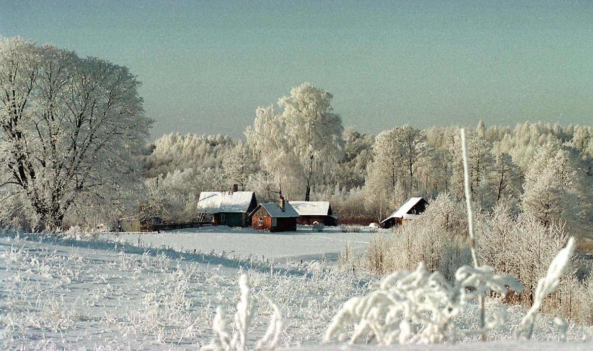 Žiema. 2000 m.