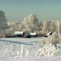 Klimatologas siūlo pratintis prie naujos lietuviškos žiemos: šis metų laikas tikrai pasikeitė labiausiai