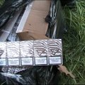 Active anti-smuggling efforts would trim Lithuania's illicit tobacco market