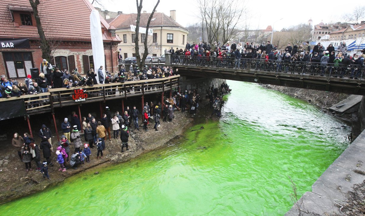 Vilniuje, Užupyje, švenčiama Šv. Patriko diena