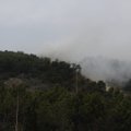 Pasirodžius dūmams į Kuršių neriją išskubėjo gausios ugniagesių pajėgos