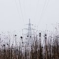 Ukraina prašo avarinės sinchronizacijos su Europos elektros tinklais: pranešama apie tarp mūšių taisomas linijas
