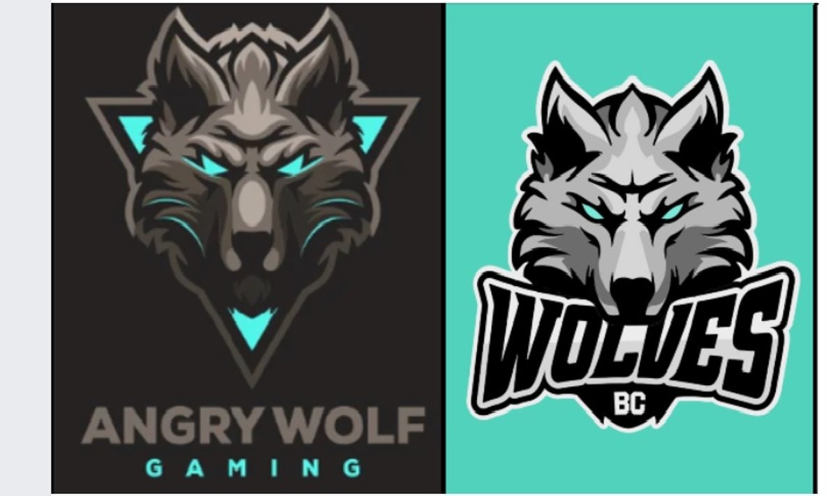 Wolves logotipas lyginamas su viešai parduodamu paveikslėliu
