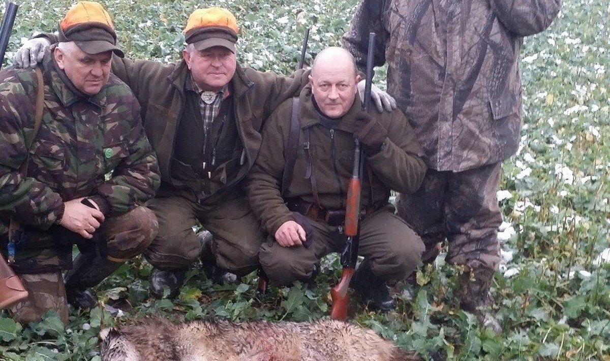 Šiaulių regione vilkų medžioklė jau baigta