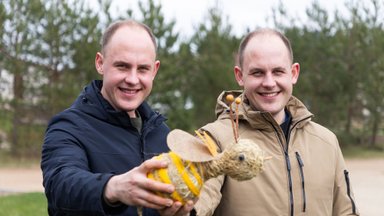 Už brolių veisiamas bičių motinėles pirkėjai moka po 500 eurų: į užsienio bitynus – iš Kupiškio pašto
