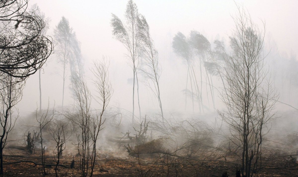 Šiuo metu yra didelis miško gaisrų pavojus