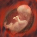 10 metų – tiek siūloma maksimaliai saugoti embrioną