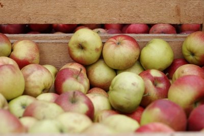 Obuolių kartu su daržovėmis geriau nelaikyti