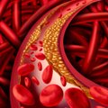 Kardiologė: cholesterolis būtinas organizmui, tačiau jo perteklius gali tapti lemtingas