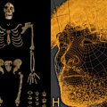 30 000 metų amžiaus žmogaus skeletą radę mokslininkai pagal kaukolę atkūrė, kaip atrodė jo veidas