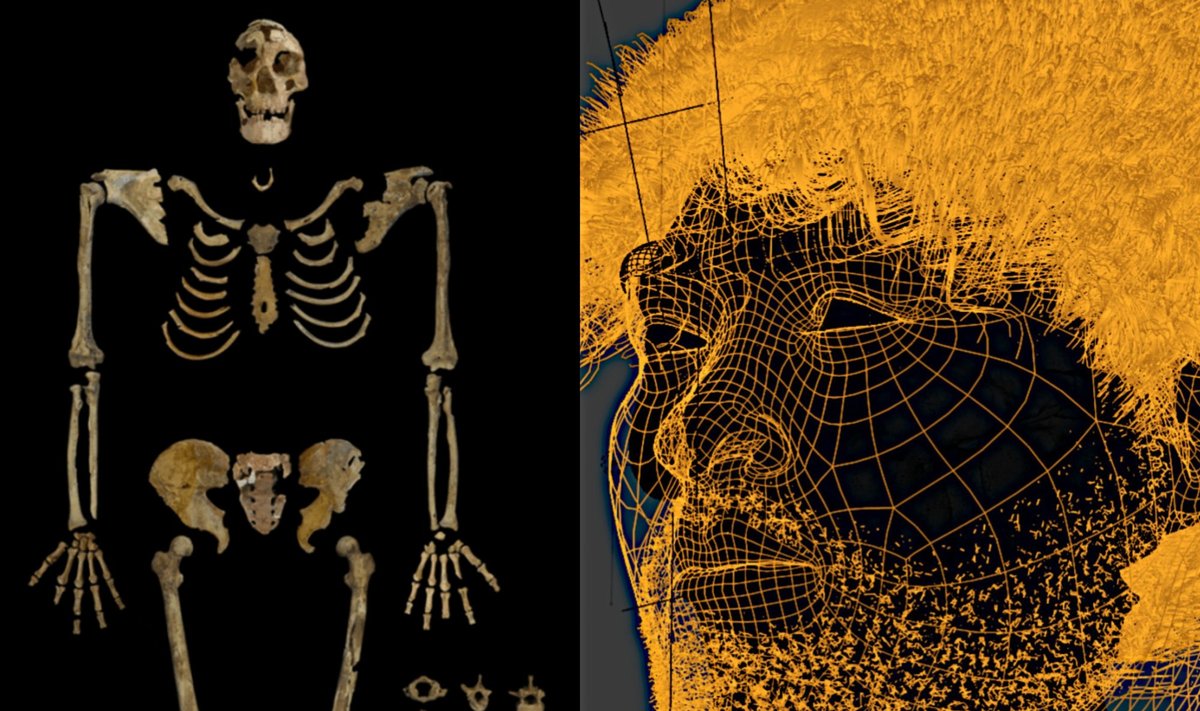 Nazlet Khater veido rekonstrukcija pagal kaukolės duomenis.  Antiquities Ministry/Cicero Moraes/ Moacir Elias Santos iliustr.