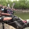 Bristolyje protestuotojai į upę įmetė vergų prekeivio statulą