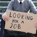 ania's unemployment in March at 9.5 percent