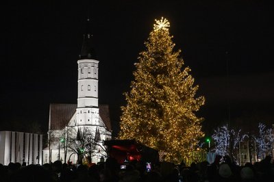 Šiaulių Kalėdų eglė