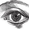 Bioninė akis – atkurto regėjimo perspektyva