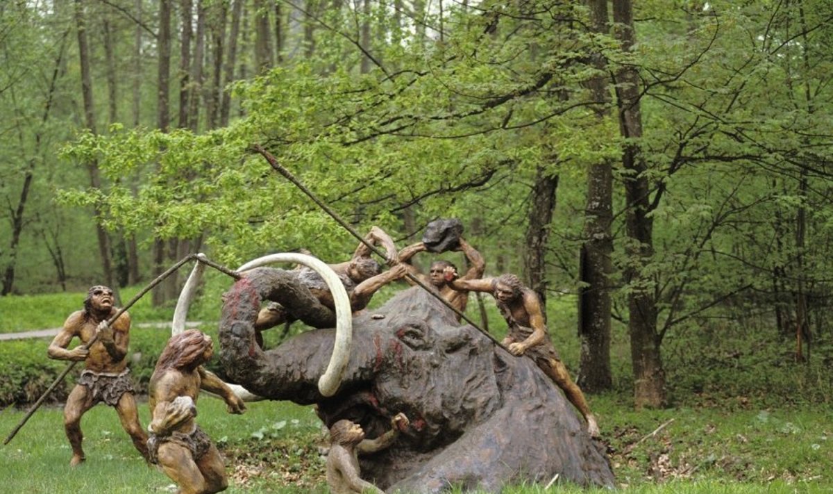 Neandertaliečiai sumedžiojo mamutą