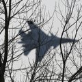 NATO jets in Baltic scrambled once to intercept Russian plane
