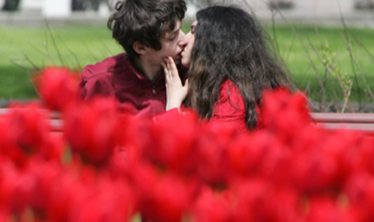 Jauna pora bučiuojasi Maskvos centre šalia žydinčių tulpių. 