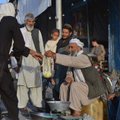 США выделили еще 144 млн долларов помощи Афганистану и беженцам