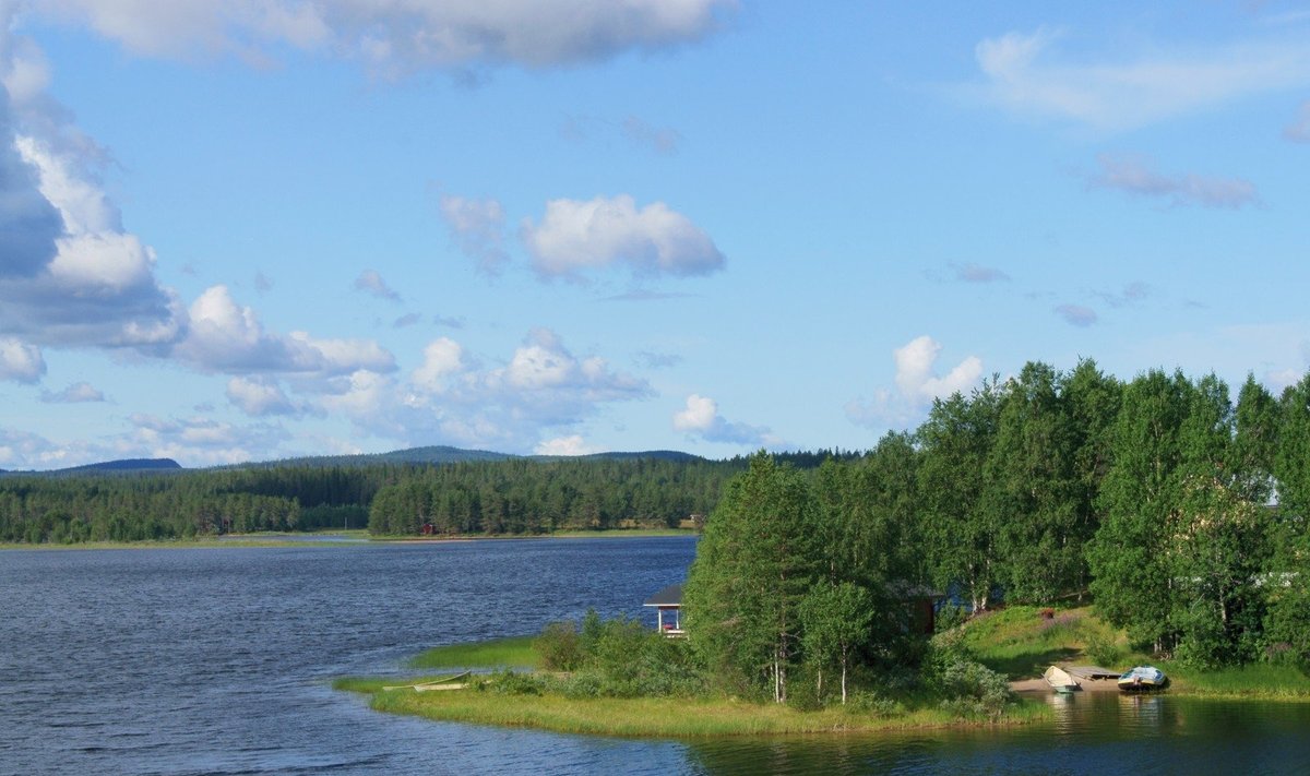 Gamta Suomijoje