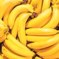 „Augmos“ rezultatus apkarpė nepalankios bananų rinkos tendencijos