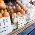 Laisvos ar gyvenančios narvuose – kurios vištos deda geresnius kiaušinius?