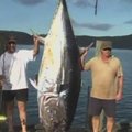 Žvejys su meškere sugavo 335 kilogramus sveriantį tuną