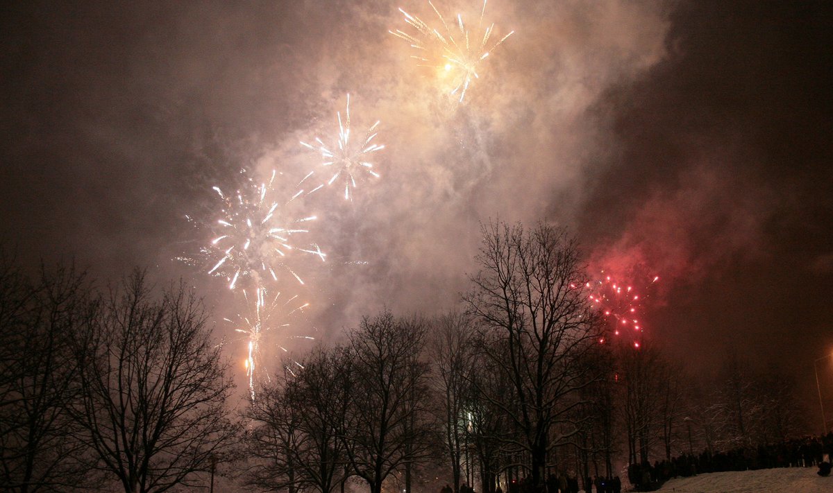 Vilnius, 2008 m. sausio 1 d. (ELTA) Naujųjų metų sutikimas sostinėje. 