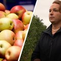 Sodą iš močiutės perėmęs jaunasis ūkininkas sukūrė klestintį verslą – jo užaugintų obuolių tikriausiai ragavęs kiekvienas