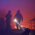 Per pražūtingą Kalifornijos gaisrą dingusių žmonių skaičius perkopė 1 000
