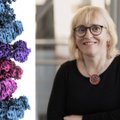 Bakterijų priešvirusines sistemas tyrinėjanti mokslininkė dr. Giedrė Tamulaitienė: CRISPR-Cas ir transgeniniai gyvūnai kuriami tam, kad pasveiktume nuo sunkių ligų