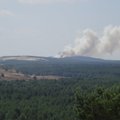 Fire breaks out on Russian side of Curonian Spit
