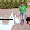 Keturioliktoji dresūros pamoka: kaip išmokyti šunį eiti į jam skirtą vietą