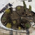 Vienybės aikštėje Kaune – nauji medžiai, atgimstantis legendinis gluosnis ir 5000 augalų