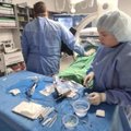 Šiaulių ligoninėje sunkiai susirgusios pacientės gyvybę išgelbėjo atlikę ypatingą operaciją – pirmą tokią Lietuvoje