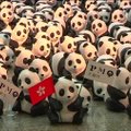 Honkongo oro uoste - šimtai pandų skulptūrų