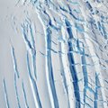NASA pasidalijo įspūdingomis, bet nieko gera nežadančiomis Antarktidos ledynų nuotraukomis