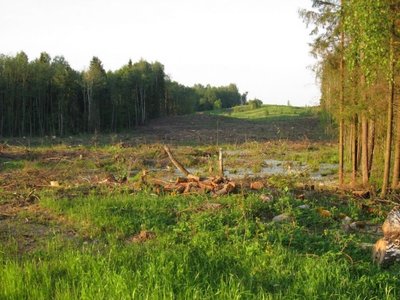 Rudaminos kraštovaizdis/ Asociacijos "Rudaminos bendruomenė" nuotr.