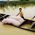 Rytinę Kinijos dalį užliejo didžiausi potvyniai per 56 metų istoriją
