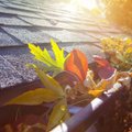 10 rudens darbų, kuriuos atlikus pavasarį sodas suklestės