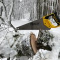 Pūga ir gausus sniegas paralyžiuoja Lietuvą: nuvirto dešimtys medžių, be elektros liko tūkstančiai gyventojų