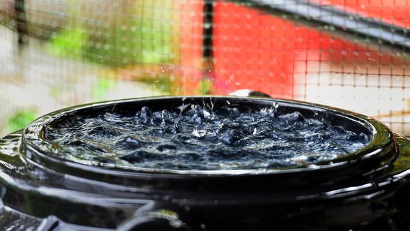 Laistyti daržo tiesiai iš šulinio pasemtu vandeniu nerekomenduojama – geriau pasinaudoti šiais patarimais