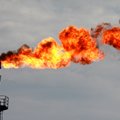 IEA įspėja, kad kitais metais gali smarkiai augti naftos kaina
