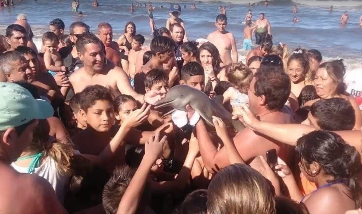 Dėl selfių nužudė delfinuką