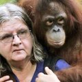 Paskelbta peticija už Borneo salos orangutanų išgelbėjimą