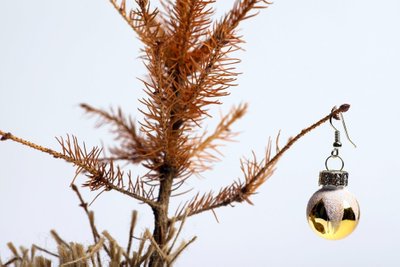 Kalėdų eglutė Shutterstock