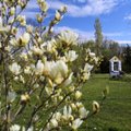 Botanikos sodas kviečia švęsti Žavėjimosi augalais dieną: duris atvers nemokamai